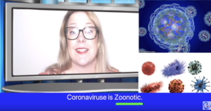 COVID-19 in English